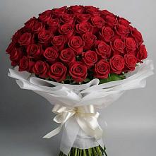 Букет 101 Красная роза Блэк Мэджик #REPLACE_PRED# Полтавской