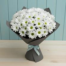Букет цветов из:  Хризантемы #REPLACE_PRED# Полтавской