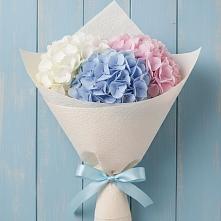 Букет цветов из:  Гортензия в Полтавской
