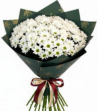 Букет цветов из:  Хризантемы в Полтавской