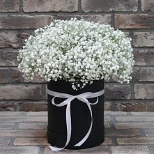 Цветочная композиция из Гипсофила в шляпной коробке в Полтавской