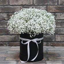 Цветочная композиция из Гипсофила в шляпной коробке в Полтавской