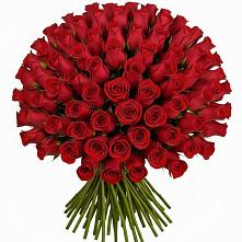 Букет Красные розы Чери Лав #REPLACE_PRED# Полтавской
