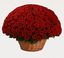 Премиум букет из: Розы в Полтавской