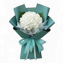 Букет цветов из:  Гортензия #REPLACE_PRED# Полтавской